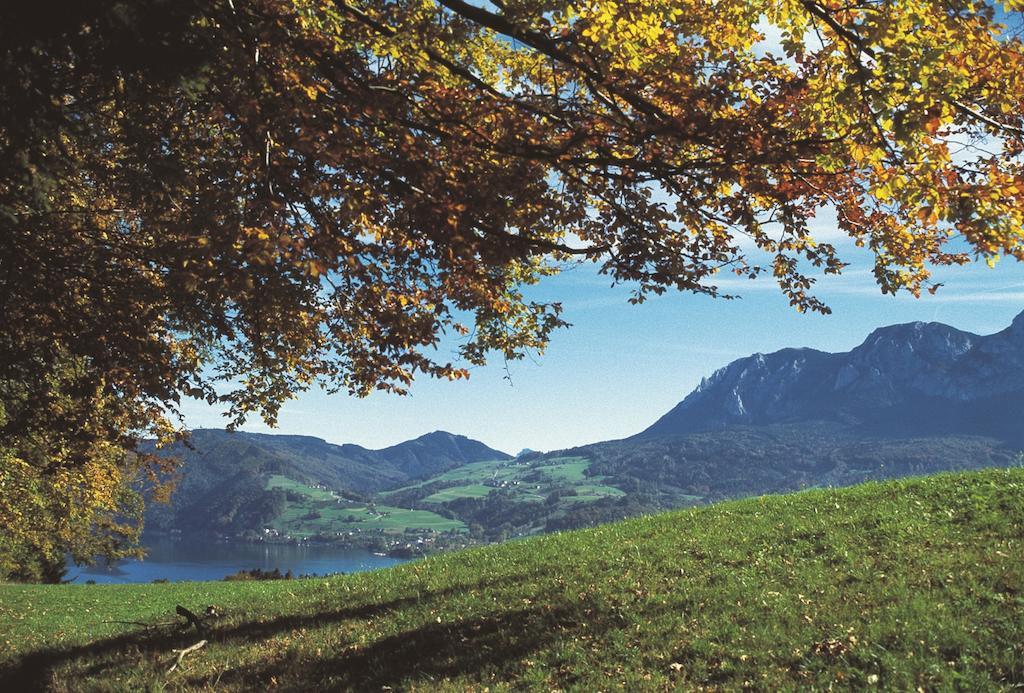 ホテル Haus Gruber Attersee エクステリア 写真